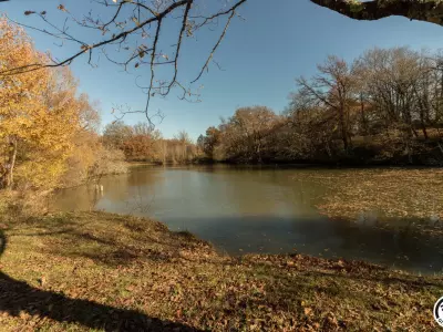 LE HAVRE DU LAC, BRIGNEMONT