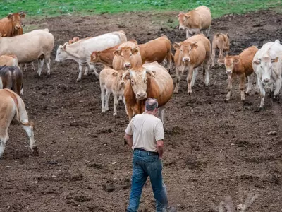 PHOTOS Site Internet - Ferme ©SIDrone_TourismeHautsTolosans (2)