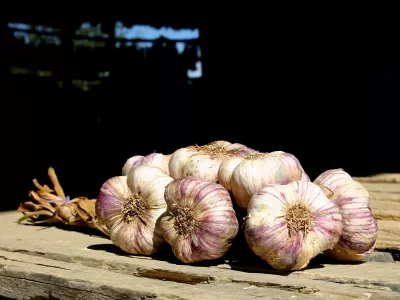 MARCHÉ DES PRODUCTEURS, CADOURS