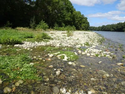 RAMIER DE BIGORRE, MERVILLE