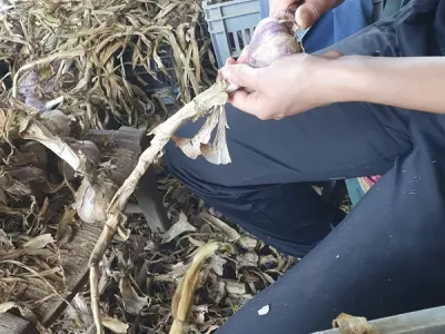 FERME DE FABART, BRIGNEMONT