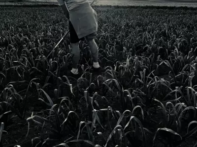 FERME DE FABART, BRIGNEMONT