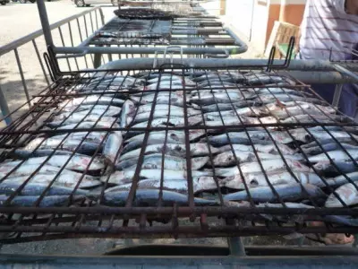 Sardinade des Randonneurs