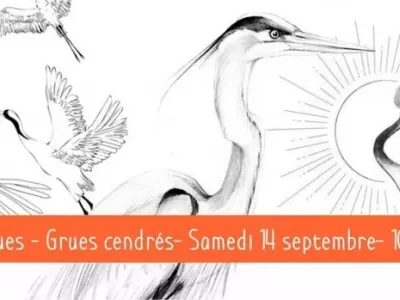 ATELIER ART PLASTIQUE, LAUNAC