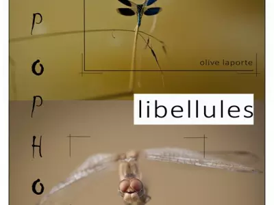 VERNISSAGE ET EXPOSITION SUR LES LIBELLULES, LE BURGAUD