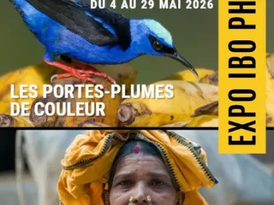 mai 2026_exposition photo Saint paul sur save