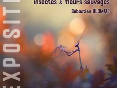 mai-juin_exposition grenade