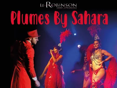 PLUMES BY SAHARA, MERVILLE