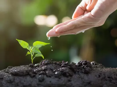 thophilong-soil-8080788_1920
