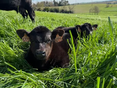 FERME DE FABART, BRIGNEMONT