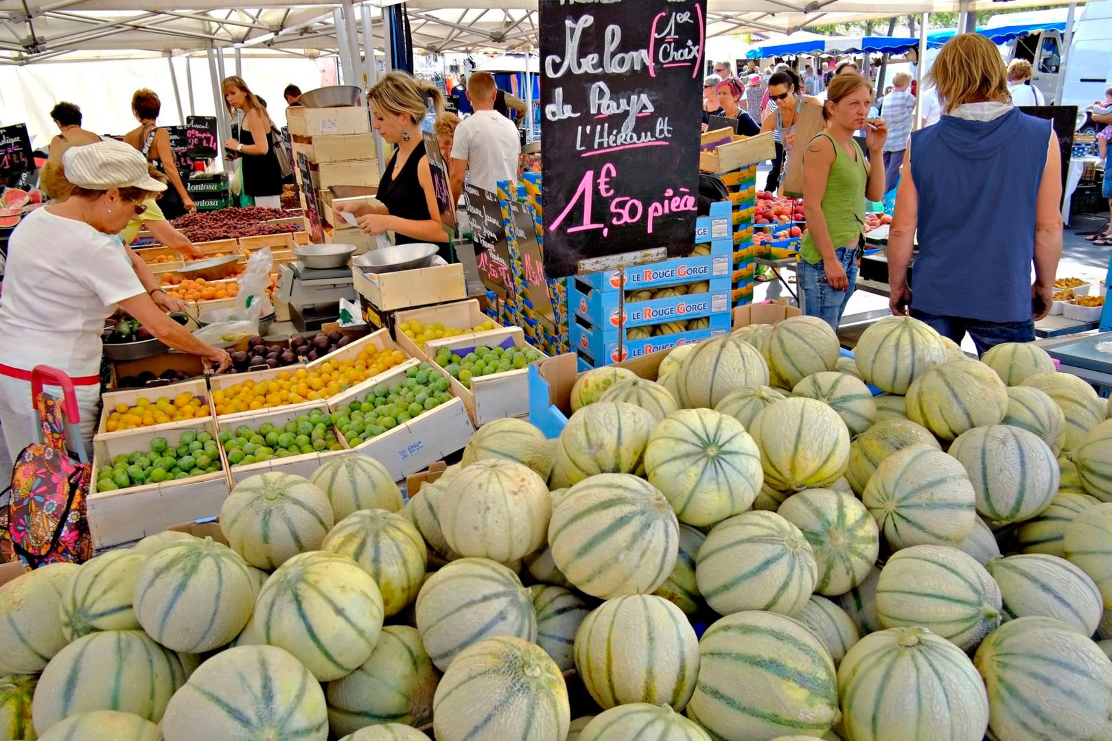 Du cap d'Agde au Canal du Midi, un concentré de Méditerranée