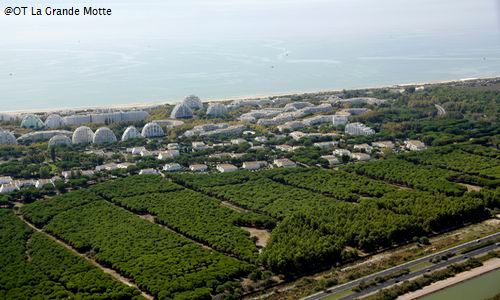 ©OT La Grande Motte - Vue aérienne de la pinède du Couchant jusu'à la mer. (2097_HD) - Copie