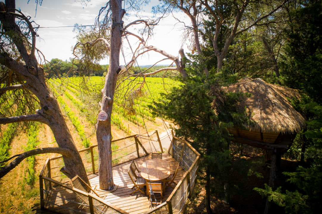 cabanes dans les arbres au domaine de l'arobousier, castries