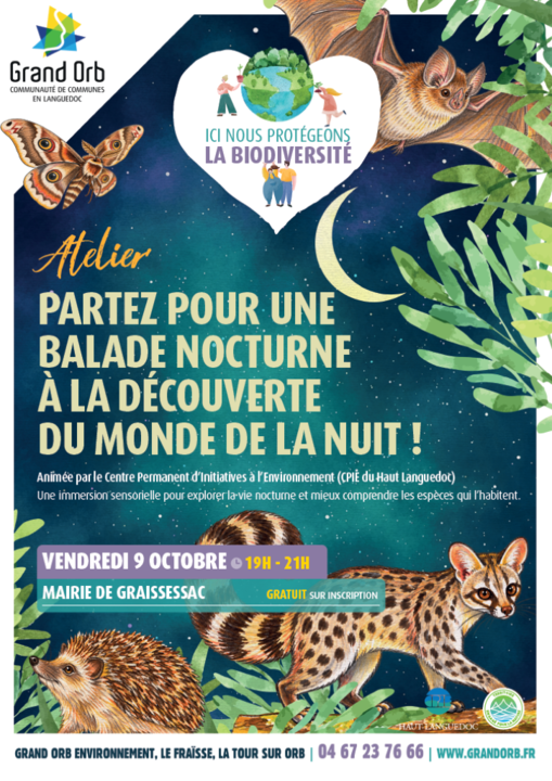 09 10 GRAISSESSAC balade nocturne 1024 T