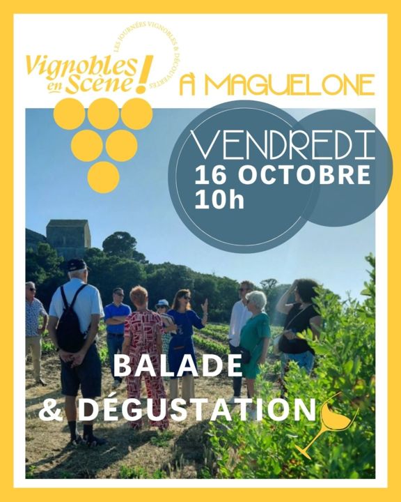 VIGNOBLES EN SCENE 2026 - insta - accords mets et vins 7/07 (2)