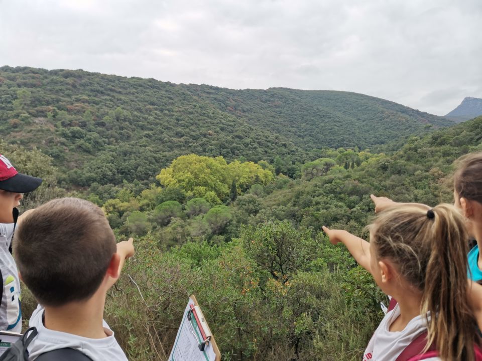 Stage chercheurs de nature