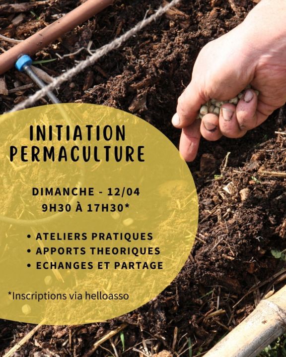 Formations - 12/04/26