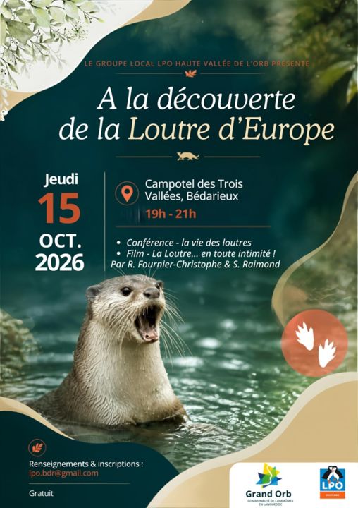 Copie de Loutre - 1
