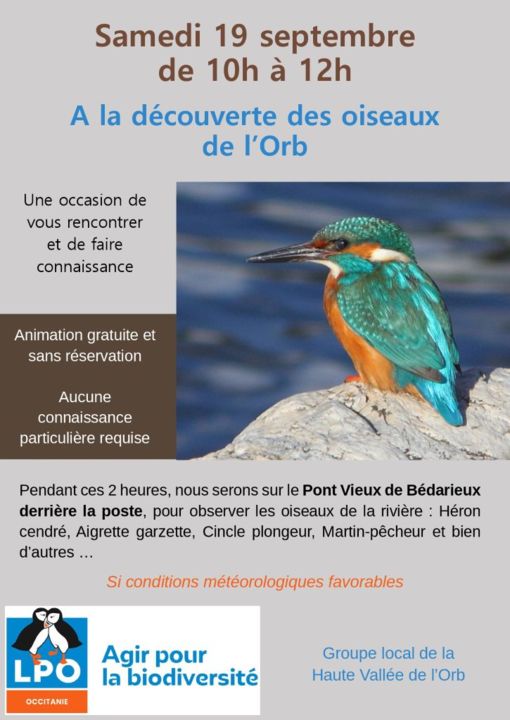 19 09 BDX Tous sur le pont observation des oiseaux 1024 T