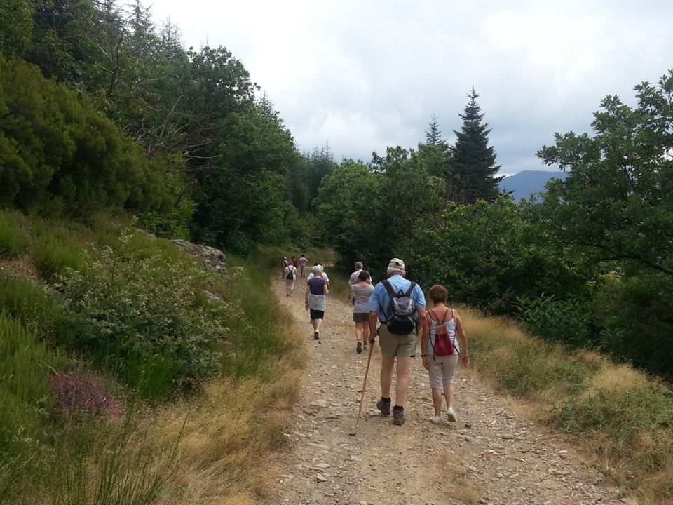 Randonnée Accompagnée