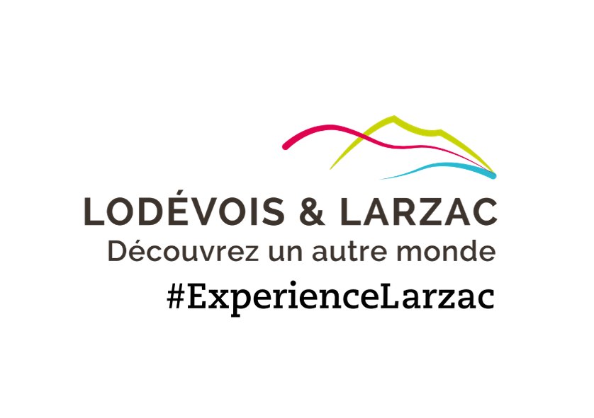 2020 - OT - logo
