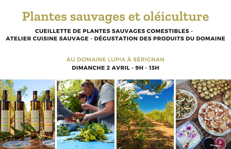 2023-04-02 Atelier cuisine Lupia