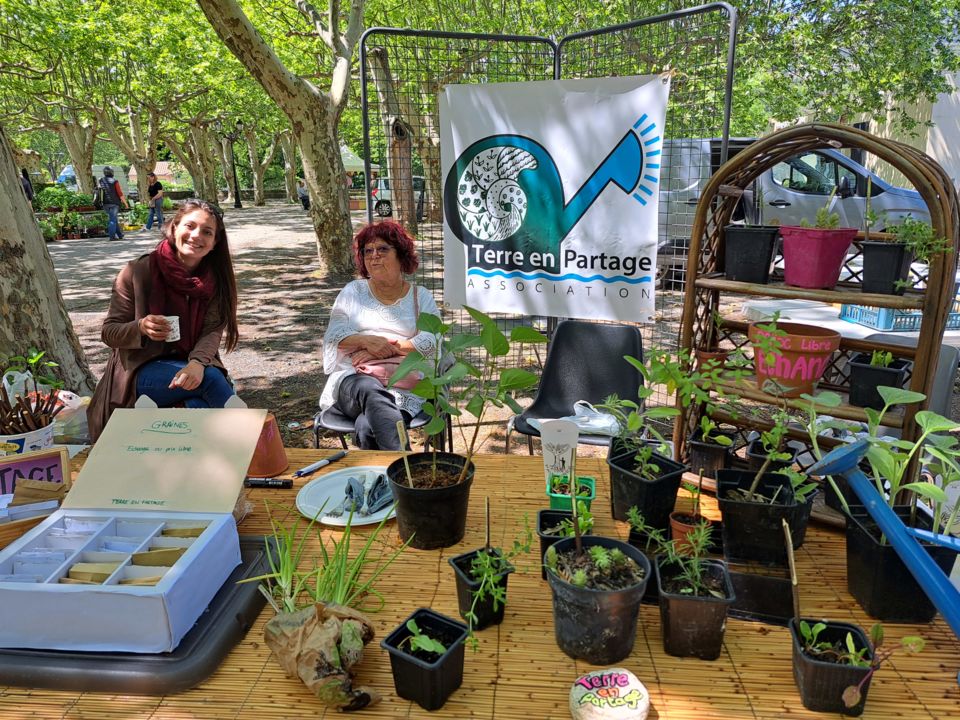 2024 05 12 Marché aux fleurs@ABodson