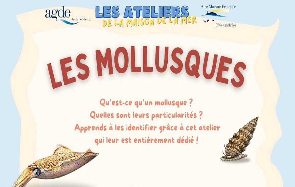 2025_01_22 LES MOLLUSQUES 1024x650