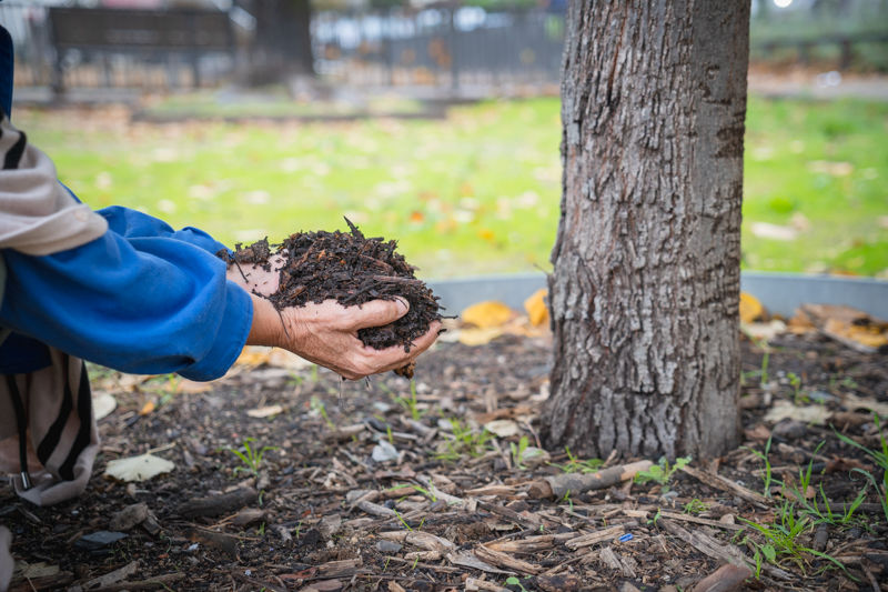 compost
