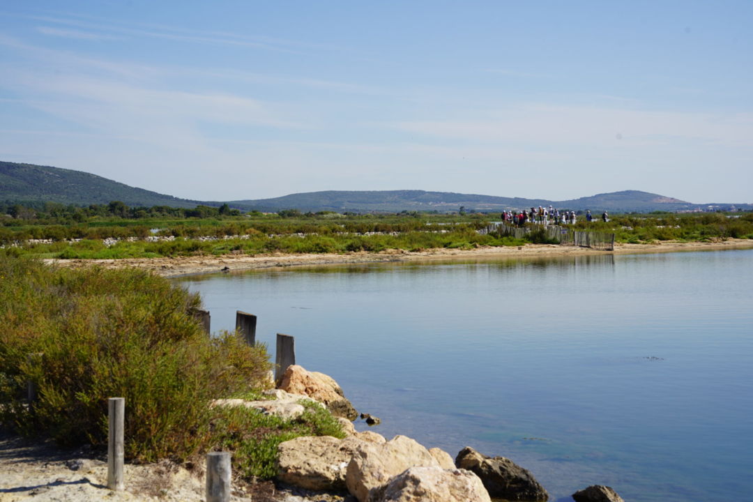 250525_CANAL-EN-FETE_RAMES-ET-VISITE-OT-SALINS_1-2000x1333