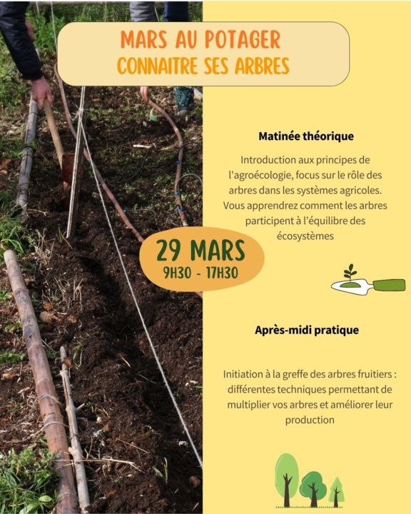 Formation post/storie - 29/03/26