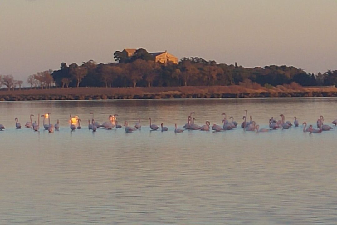Location d'exception à villeneuve lès maguelone_1