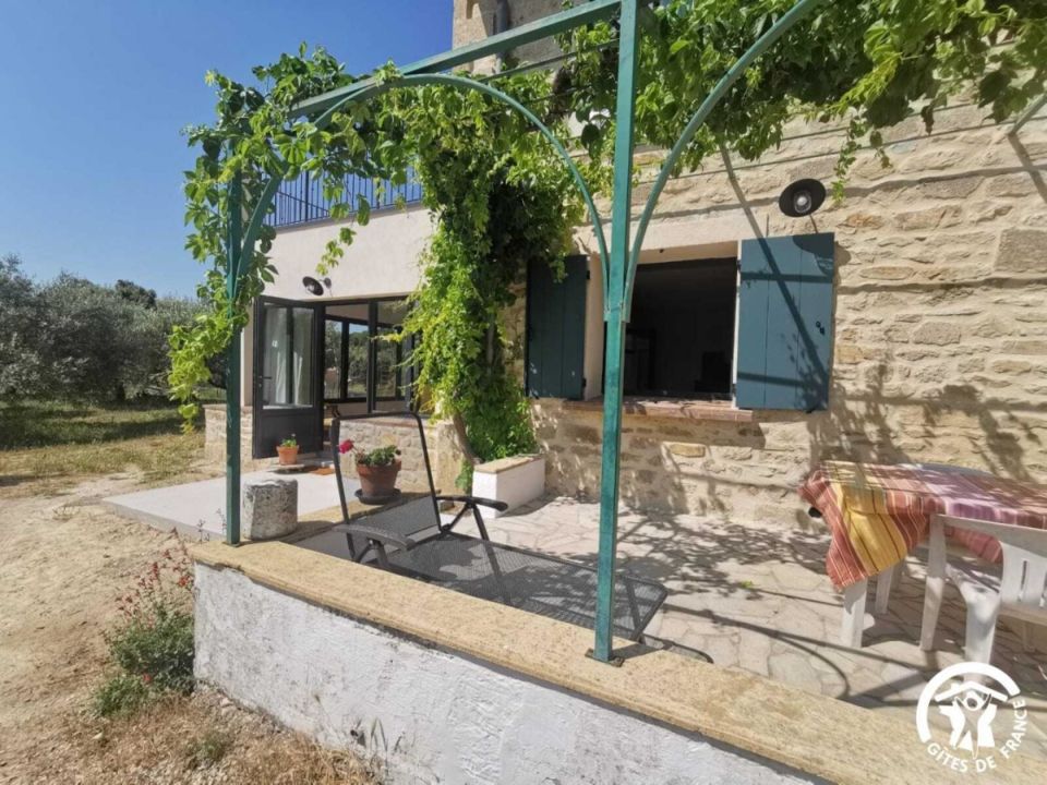 34G28809 - Dans les Oliviers_1