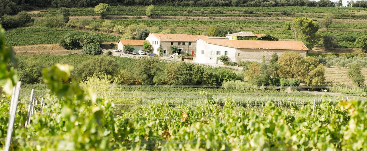 Domaine Daurion_Caux_1