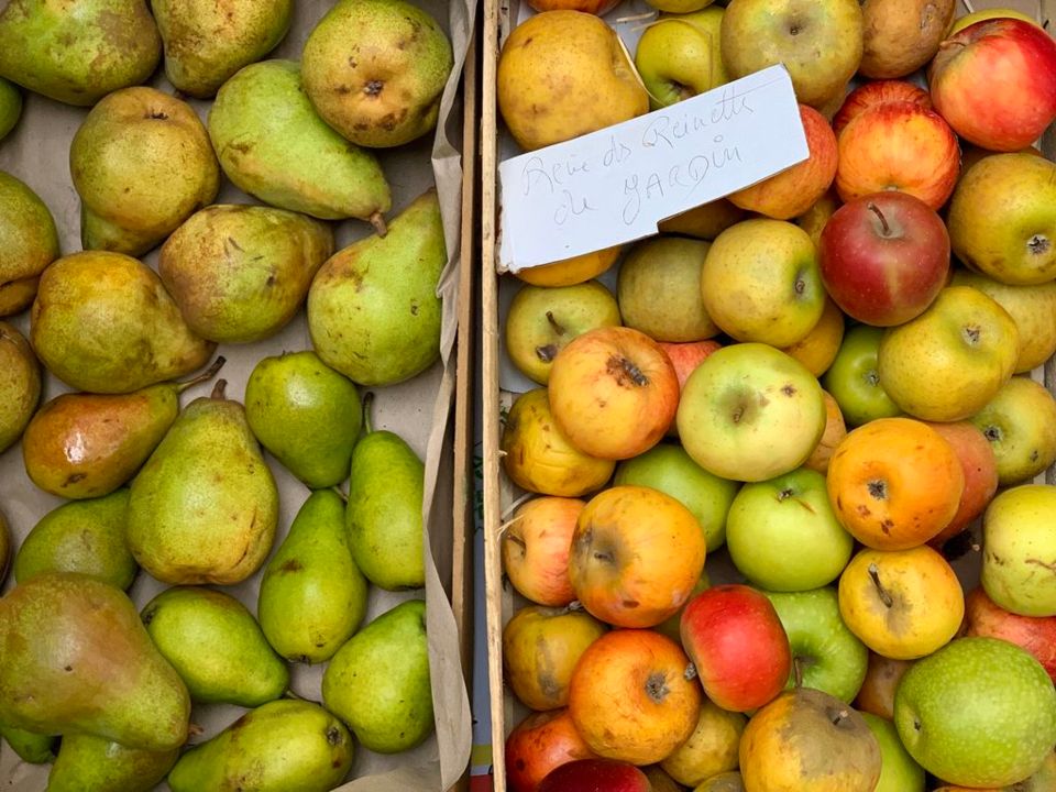 MARCHÉ D'AGDE
