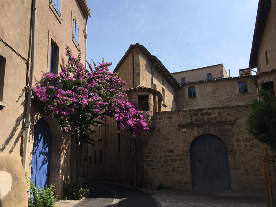 Pézenas, un Trésor d'Architecture_1