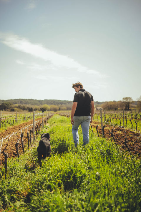 Domaine des Fontaines_Lieuran-lès-Béziers_1