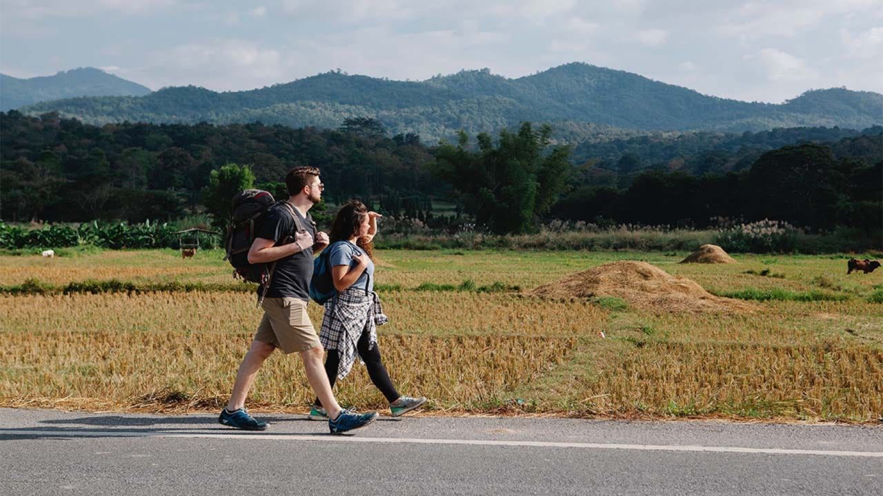 Randonnée Pédestre : Le bois des Eucalyptus_Montblanc_1