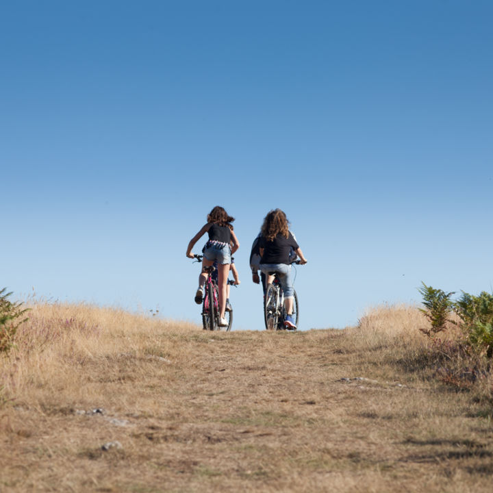 Location de VTT ado - Gîtes La Clairière_Cambon-et-Salvergues_1
