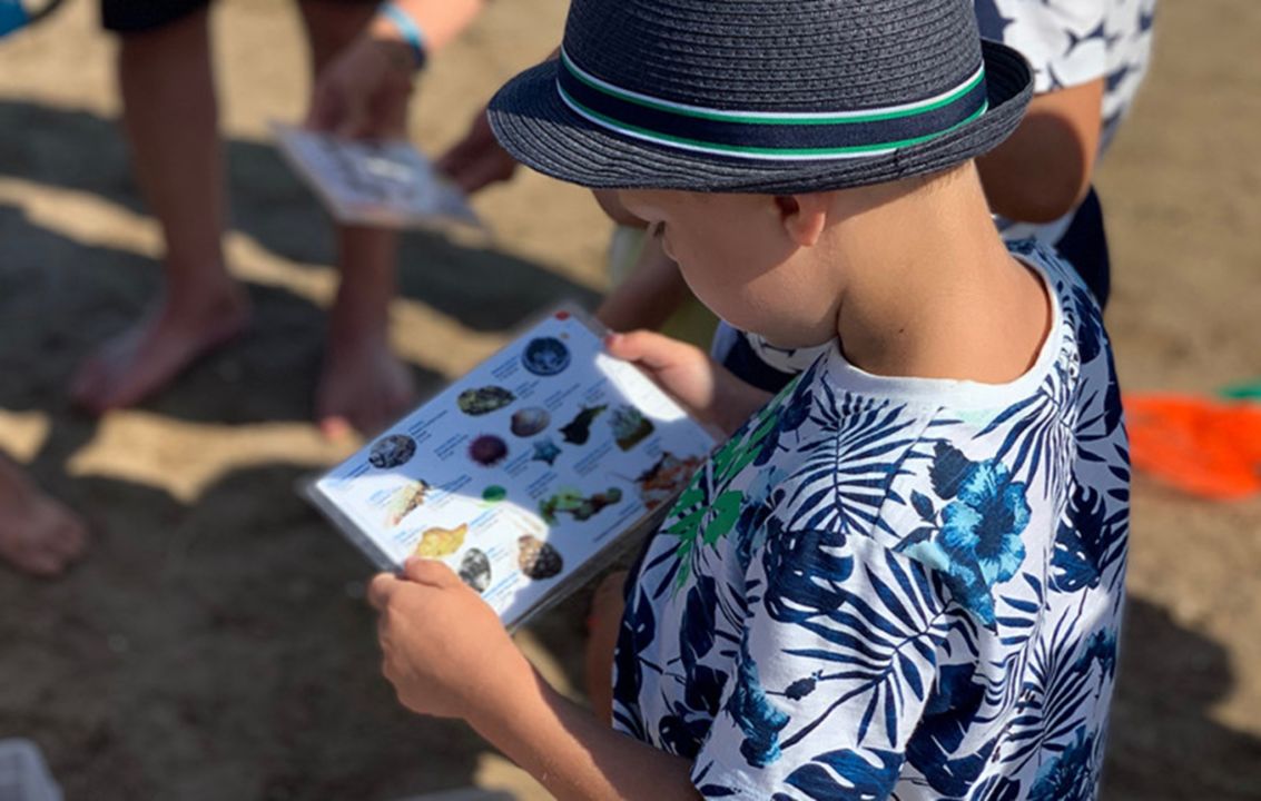 Oiseaux et autres petites bêtes_Agde_1