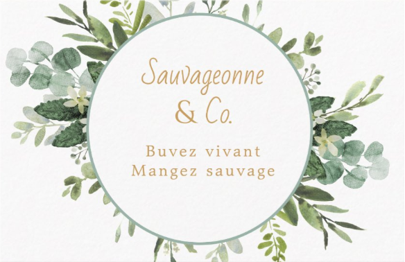 Sortie nature : plantes comestibles du petit Bagnas et buffet sauvage_Agde_1