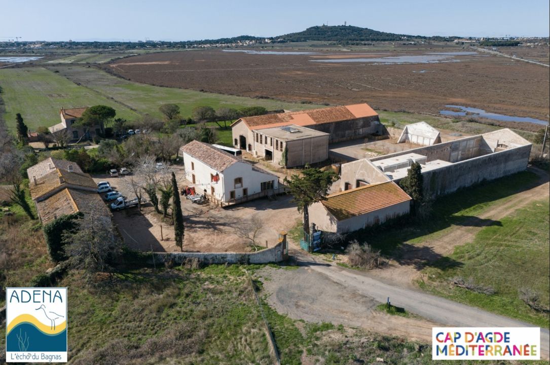 Visite du Grand Clavelet_Agde_1