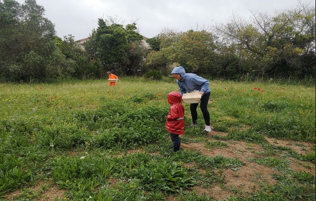 Spécial Pâques - Chasse aux oeufs_Agde_1