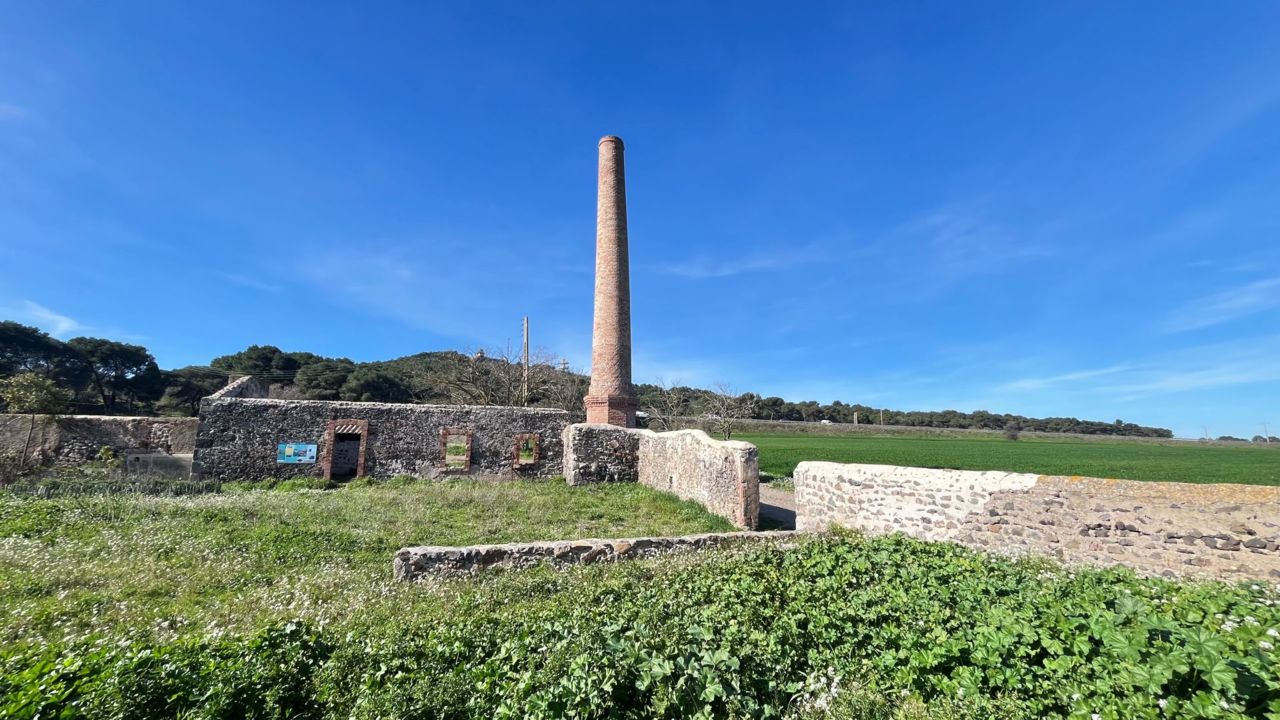 Sortie nature : Le Cap d'Agde, balade entre pinède et architecture du XXème_Le Cap d'Agde_1