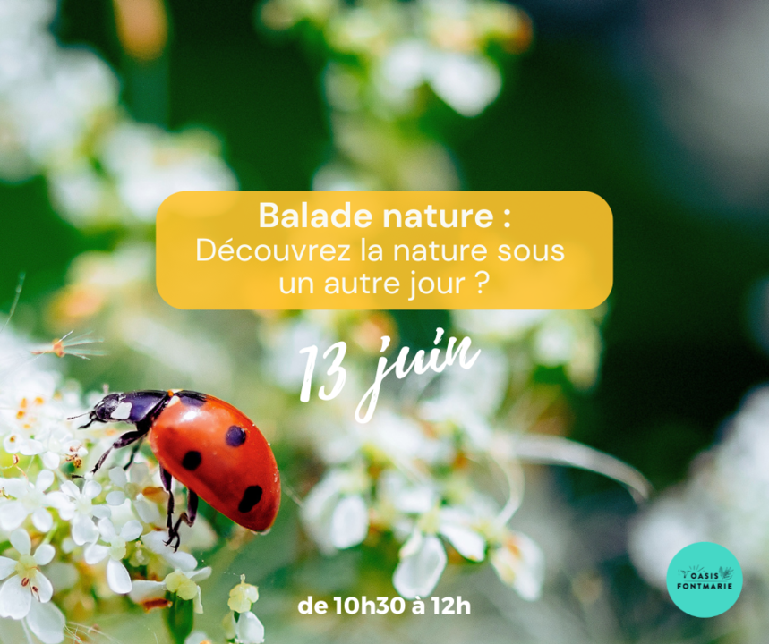 Agenda Juin - 4