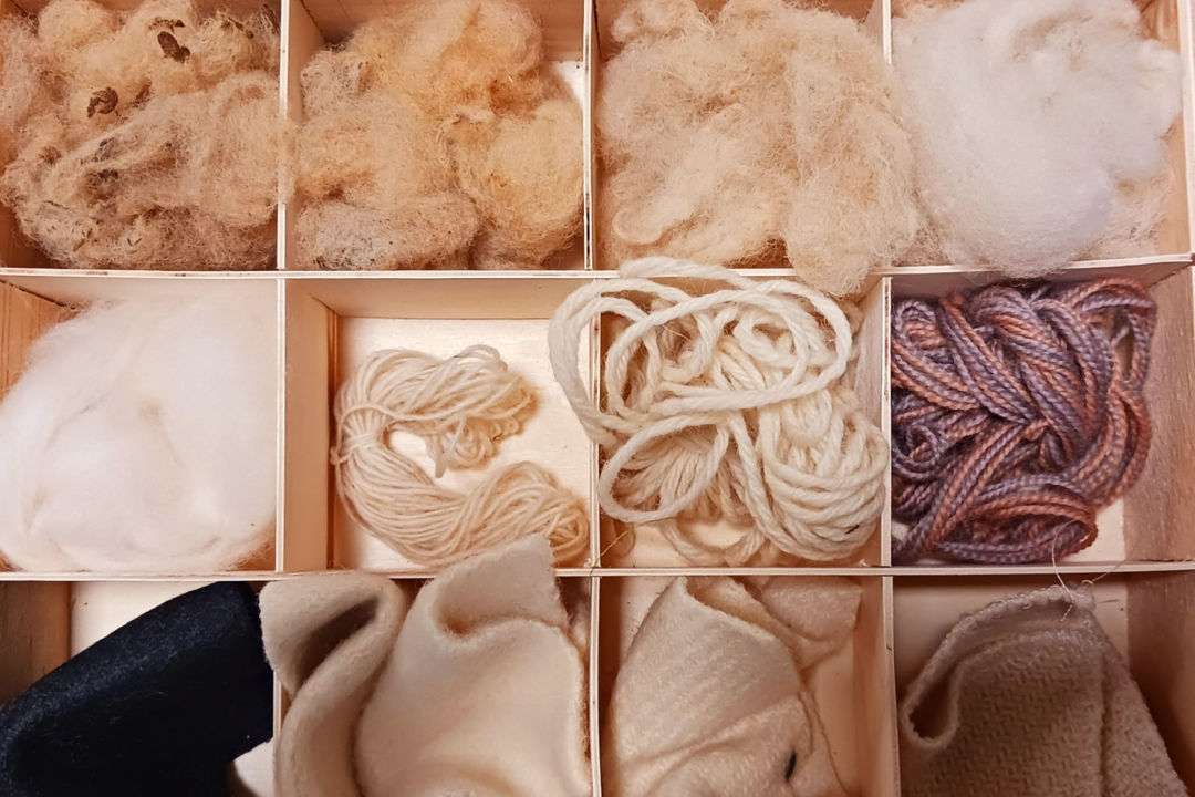 4_cpie_photo_temporaire_ccll_P