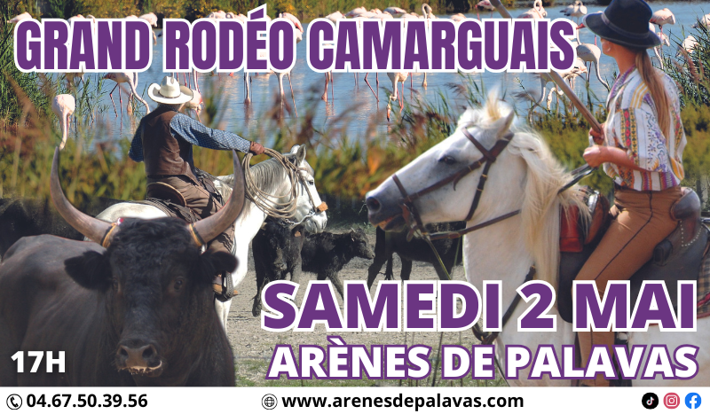 Grand rodéo Camarguais & Jeux de gardians_Palavas-les-Flots_1
