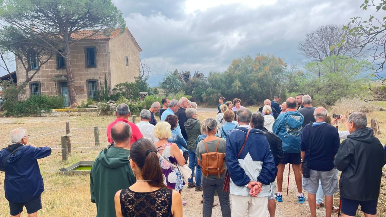 Visite guidée : découverte du patrimoine et de la biodiversité du Bagnas_Agde_2