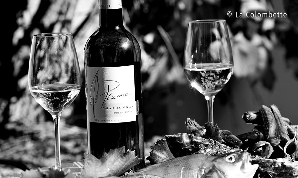 Des vins de soif et de partage_1