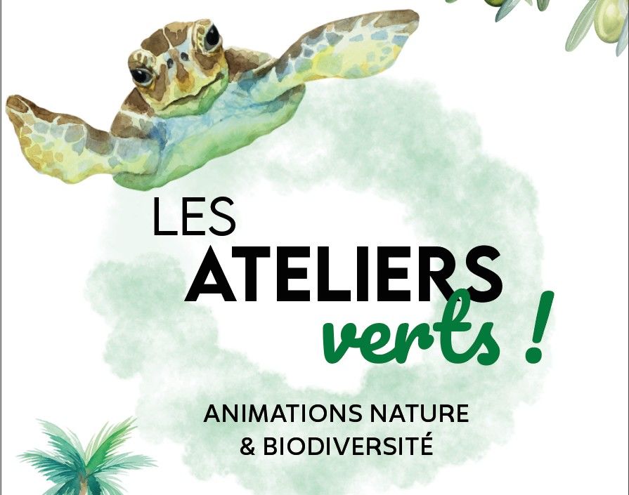 Atelier Vert_Valras-Plage_1